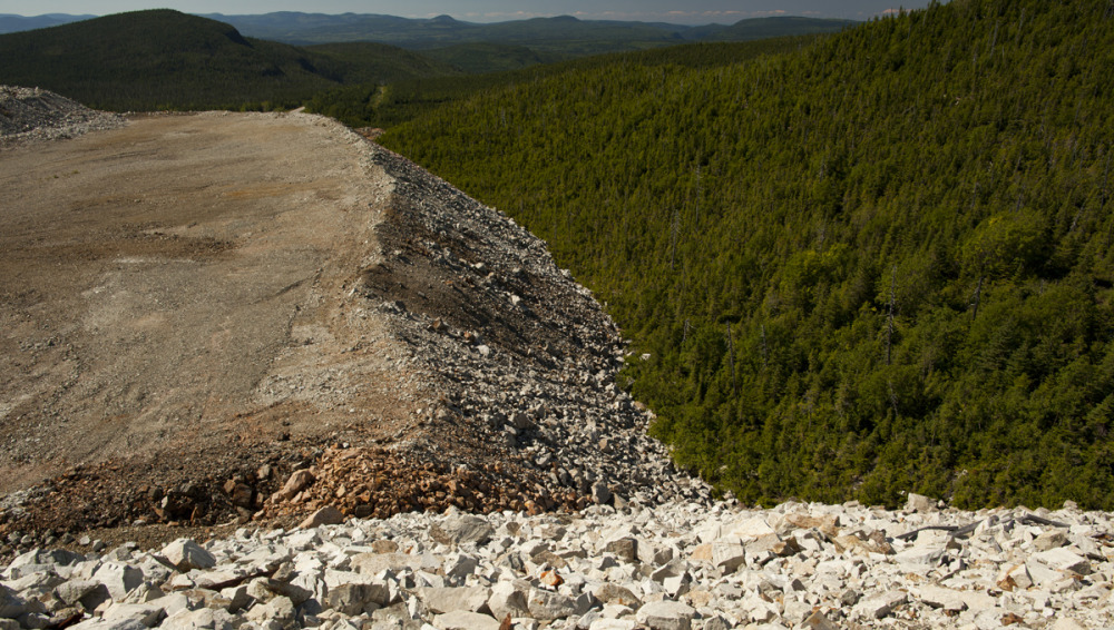 Rencontre entre arbres et pierres, 2015 / Encounter between rocks and trees, 2015